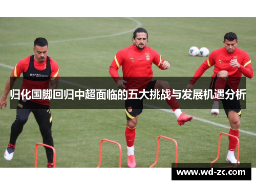 归化国脚回归中超面临的五大挑战与发展机遇分析