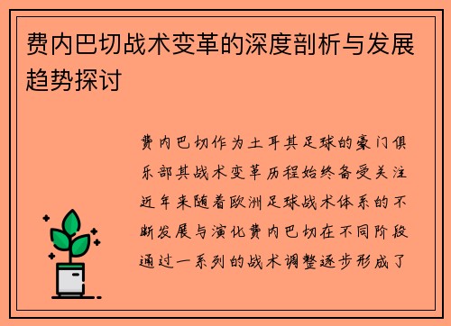 费内巴切战术变革的深度剖析与发展趋势探讨