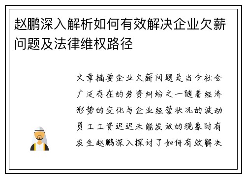 赵鹏深入解析如何有效解决企业欠薪问题及法律维权路径